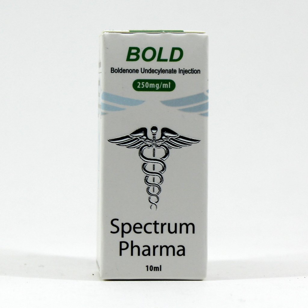 Bold 250 Bold 250
