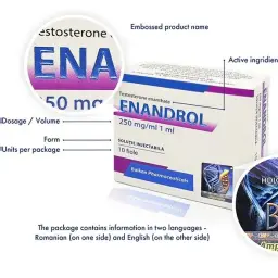 Enandrol
