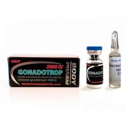 Gonadotropin 5000iu - Human Chorionic Gonadotropin - BodyPharm