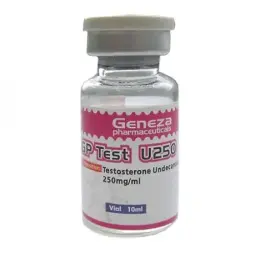 GP Test U250