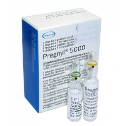 HCG Pregnyl 5000iu - Human chorionic gonadotropin - Organon Ilaclari, Turkey HCG Pregnyl 5000iu with Bitcoins