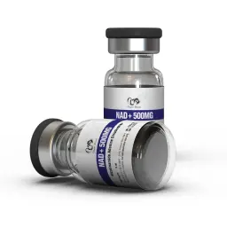 Nicotinamide Adenine Dinucleotide (NAD+)