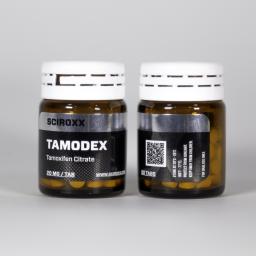 Tamodex with Bitcoins
