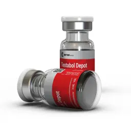 Testabol Depot