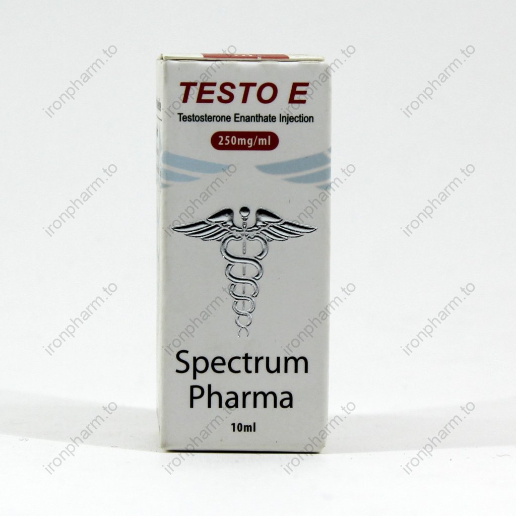 Testo E 250 - DO NOT DELETE - _UNAVAILABLE Testo E 250 - DO NOT DELETE - _UNAVAILABLE
