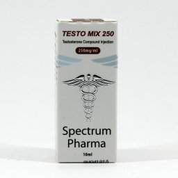 Testo Mix 250 - DO NOT DELETE - _UNAVAILABLE Testo Mix 250 with Bitcoins