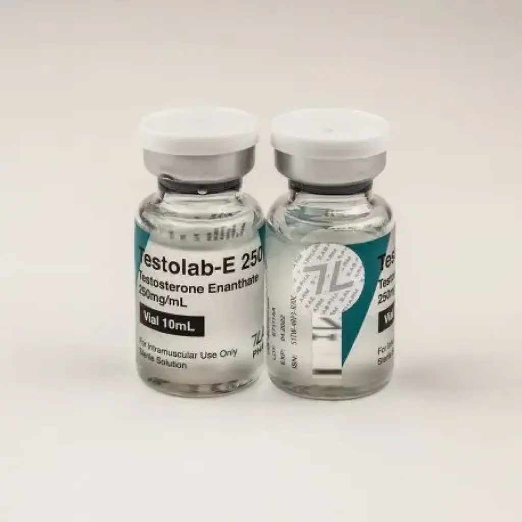 Testolab-E 250 Testolab-E 250