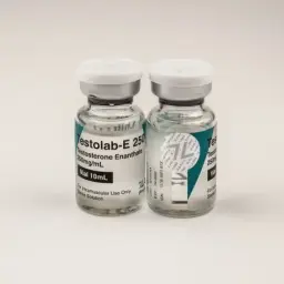 Testolab-E 250