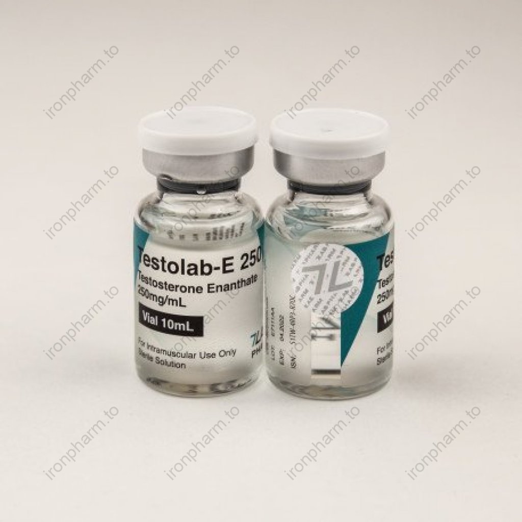 Testolab-E 250 Testolab-E 250