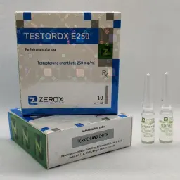 Testorox E 250 (amps)