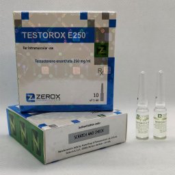 Testorox E 250 (amps)