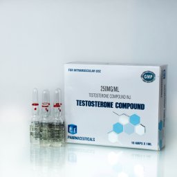 Testosterone Blend (Sustanon) Testosterone Blend (Sustanon)
