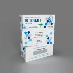 Testosterone E - 10ml