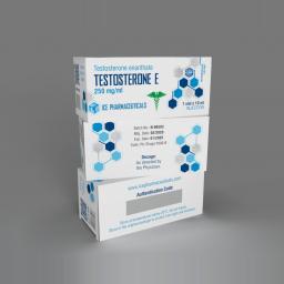 Testosterone E - 10ml