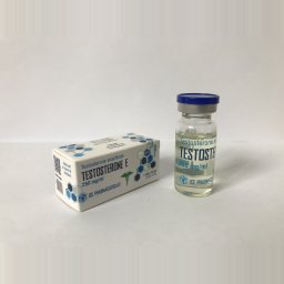 Testosterone E - 10ml