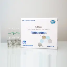 Testosterone E