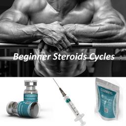 Testosterone Enanthate Cycle with Bitcoins
