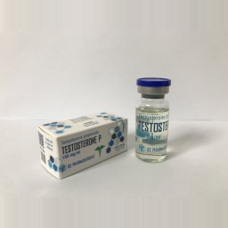 Testosterone P - 10ml